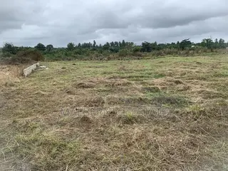 Own a Land