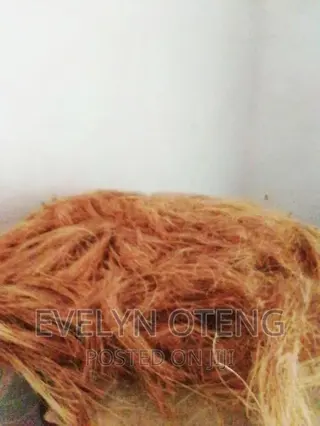 Treated Coconut Fibre