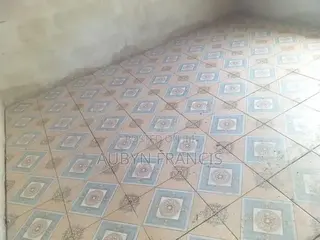 Professional Tiler and PVC Tile Installation