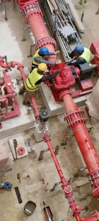 Professional Plumber