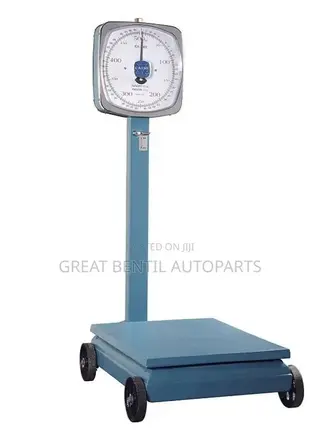 300 Kg Camry Analogue Scale