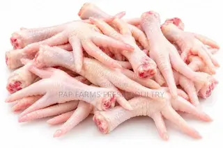 Freshly Processed Chicken Feet