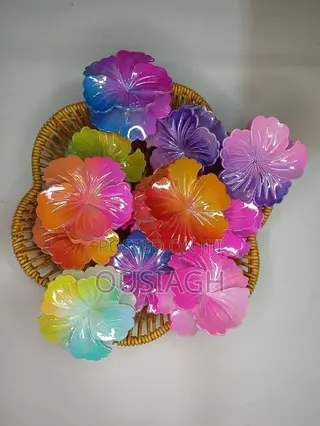 Hair Clips