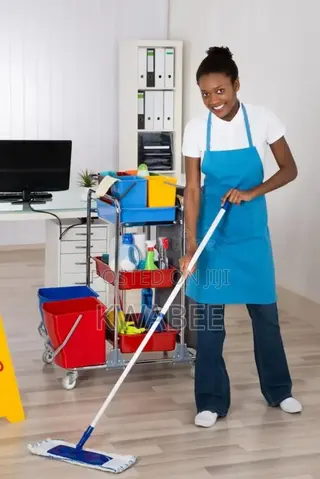 House and Office Cleaning and Fixing of Curtains