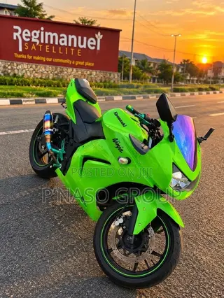 Kawasaki Ninja 300 2013 Green