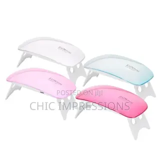 Portable UV Light