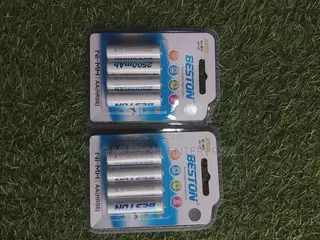 Beston Rechargeable Batterie