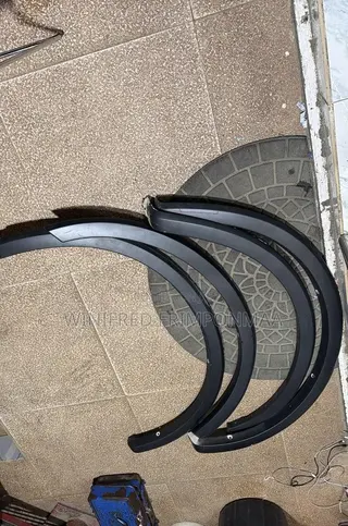 Ford F150 2017,2018,2019,2020,2021 Fender Moulding
