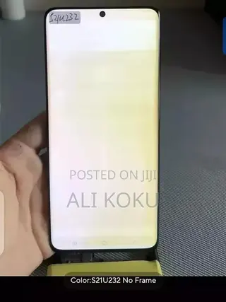 Samsung S21 Ultra Screen. With Small Burn