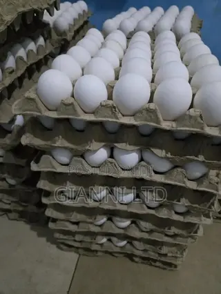 Fresh Farm Eggs for Sale. Available for Both Wholesale and Retail