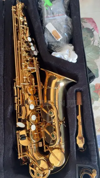Sunsmile Golden Alto Saxophone – Like New