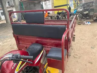 Luojia Cargo Tricycle 2025 Red
