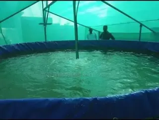 PVC Biofloc Mobile Fish Pond