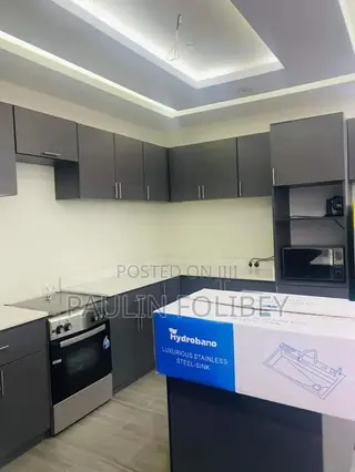 2bdrm Apartment in Dg Properties, Ablekuma for rent