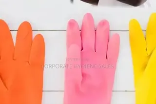 Reusable Gloves
