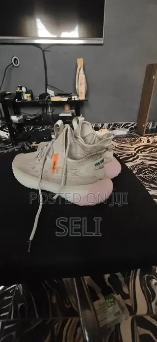 Yeezy Shoe