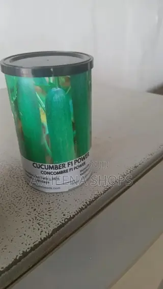 F1 Big Cucumber Seeds (50 Grams)