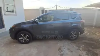 Toyota RAV4 XLE AWD (2.5L 4cyl 6A) 2017 Gray