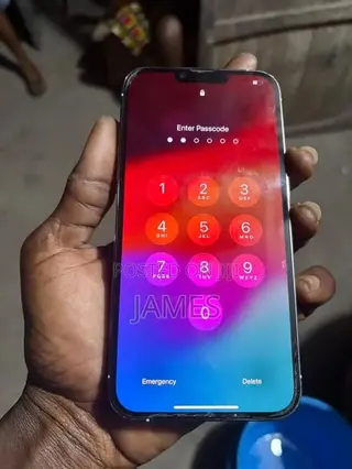 Apple iPhone 13 Pro Max 128 GB Gray