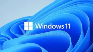 Any Windows and Linux Operating Systems Installation