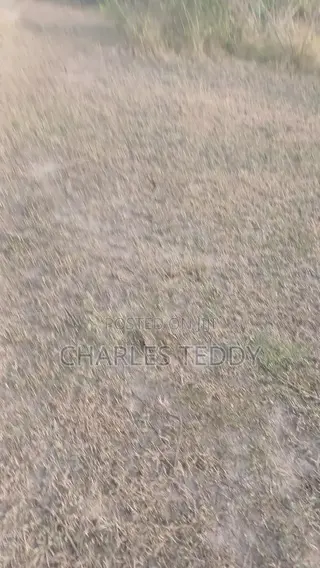 Documented Land for Sale