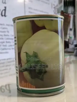 Garden Eggs Seed - Kotobi+