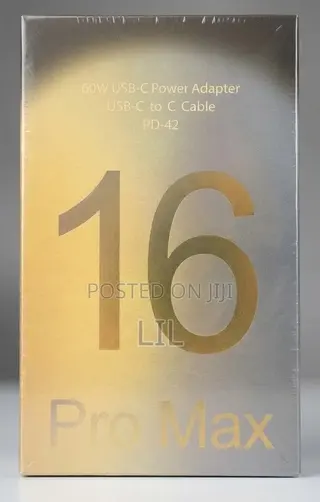 iPhone Charger