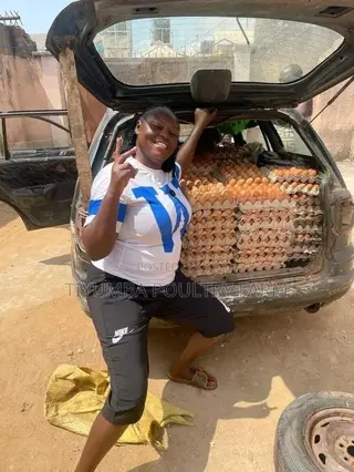 Eggs for Sale