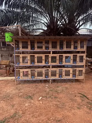 15 Rooms Modern Rabbit and Grasscutter Cage