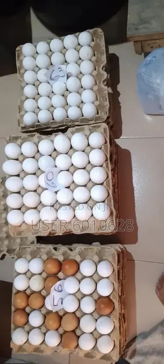 Emefa's Eggs