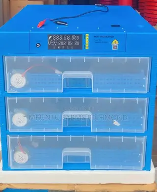 Incubator (210egg Capacity Automatic Incubator)