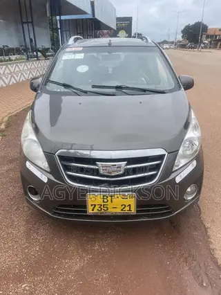 Chevrolet Spark LS 2013 Gray