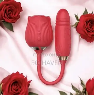 Dual Rose Toy