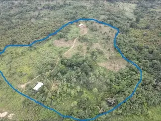13 Acres Farmland-Ahafo Ano South
