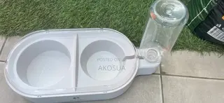 Pet Food and Water Bowl