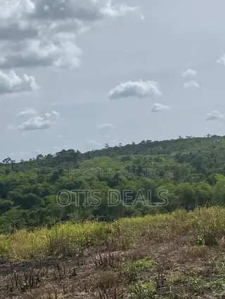 Grace Land Farms