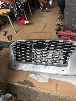 Hyundai Palisade 2018,2019,2020,2021,2022 Front Grill (Shells)