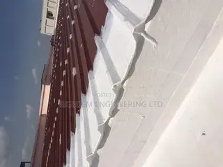 Premium Roof Leakage Specialist Expert