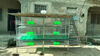 12-Unit Rabbit Cage Automatic Drinker & Feeder | Rabbit Farming Cage