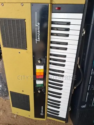 Electric Organ
