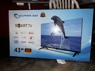 Dolphine Bay TV