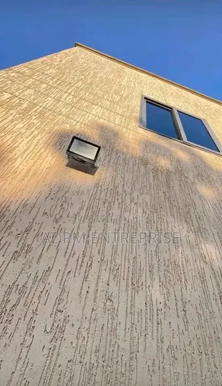 Graphitex Paint