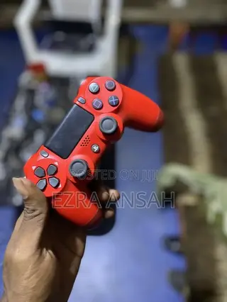 PS4 DualShock Controller