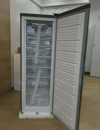 Nasco 166ltrs Standing Freezer