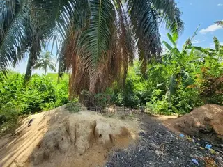Prime Land for Sale