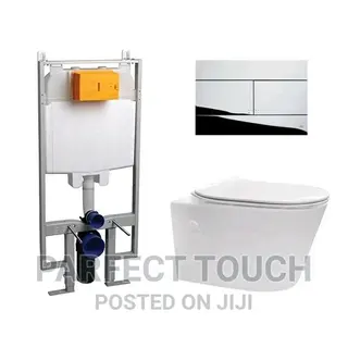Inwall and Inbuilt Toilet