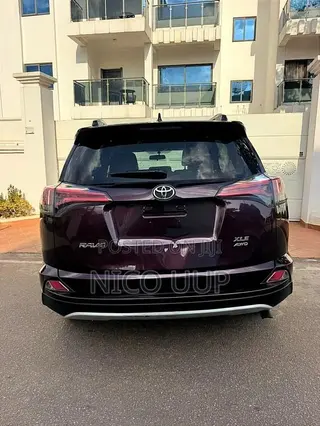 Toyota RAV4 XLE AWD (2.5L 4cyl 6A) 2017 Brown