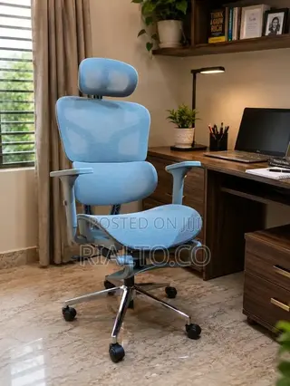 High Quality Ergonomic Chair Class-4 Gas Cylinder