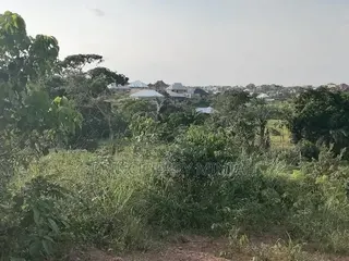 Real Estate