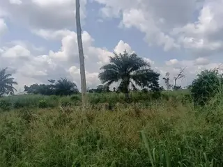 6 Plots of Land for Sale